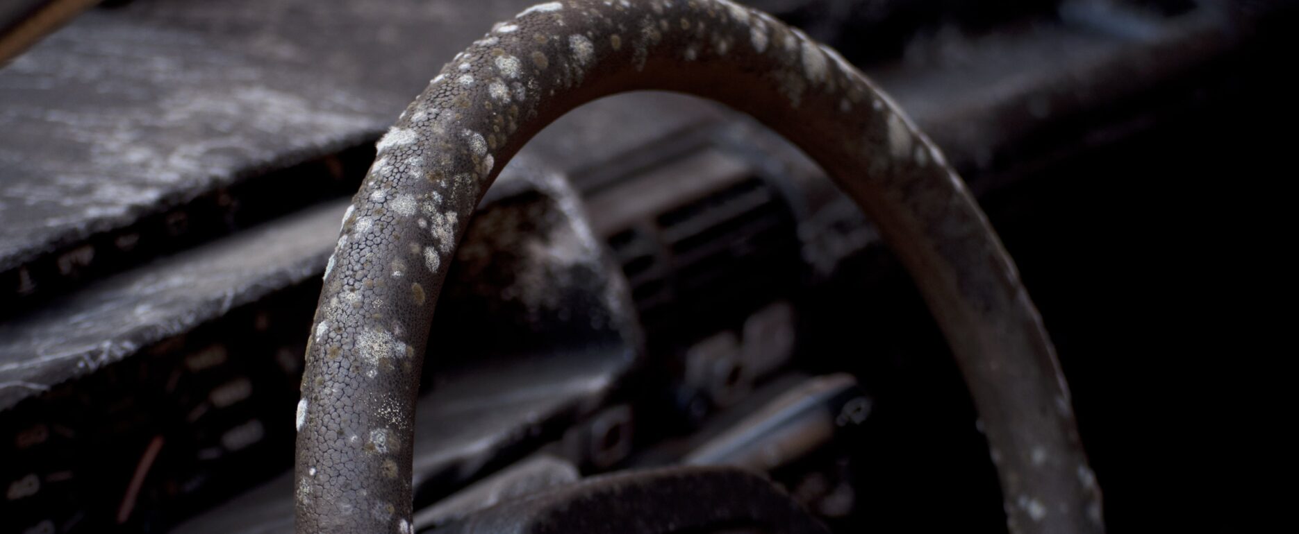 Close-up of a car interior with severe mould growth on the steering wheel and dashboard.